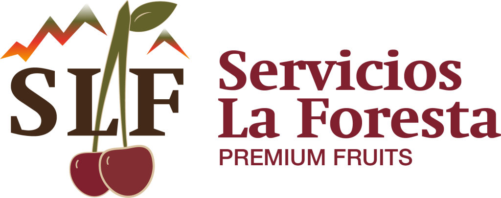 logo web
